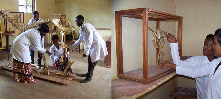 Anatomy Lab
